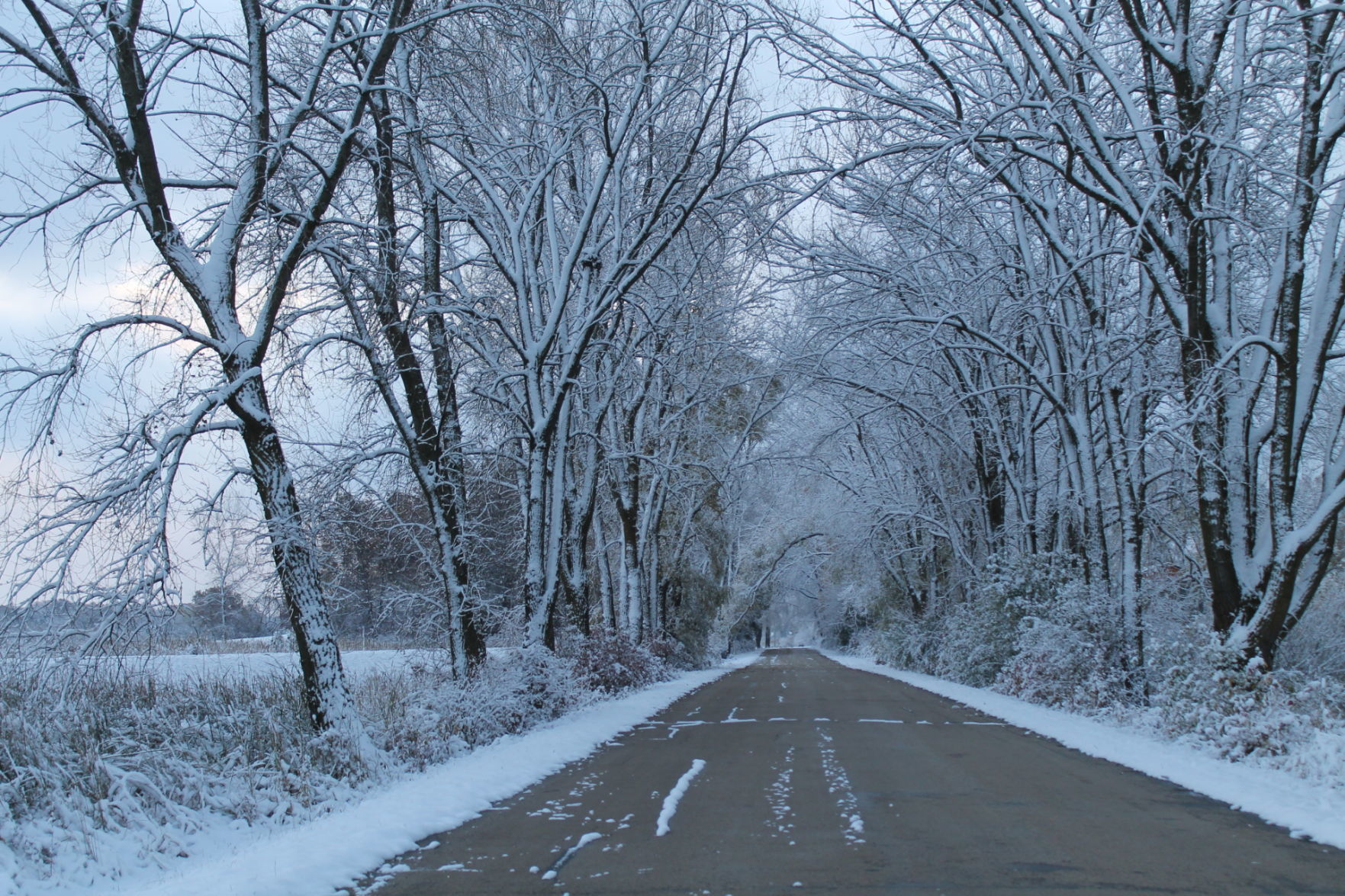 102919 snow 017.JPG